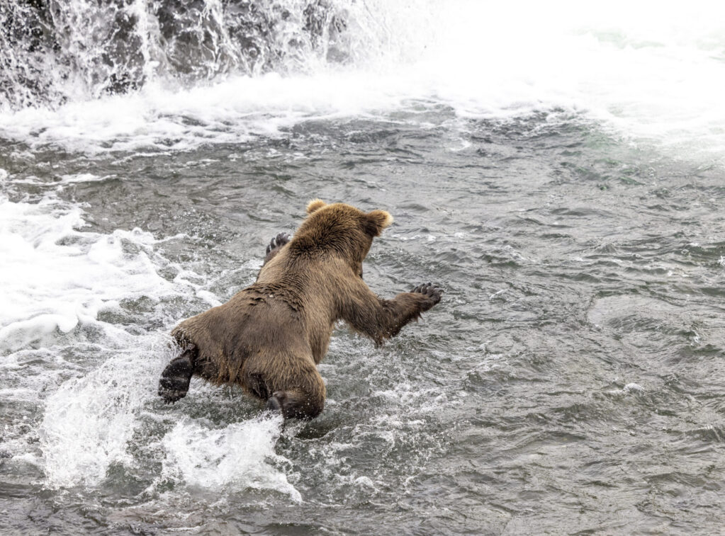 3L6A0007-3 3l6a0007 3