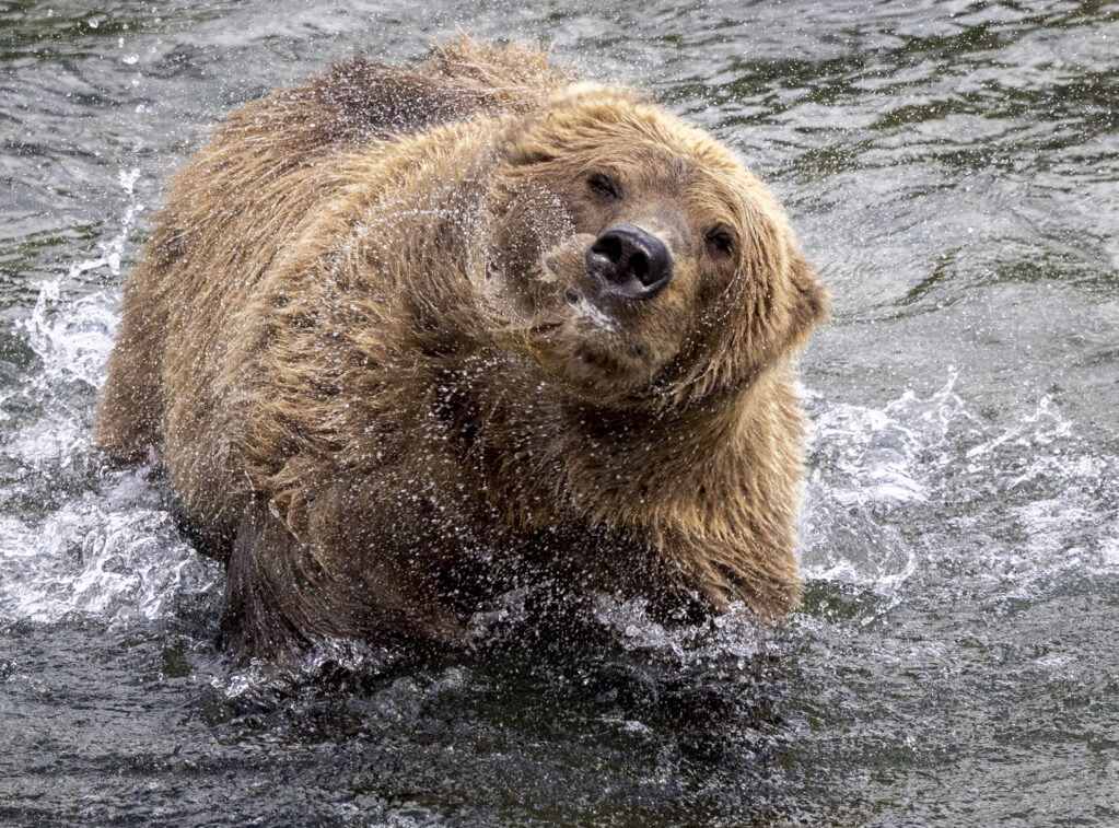 3L6A4140-3 3l6a4140 3