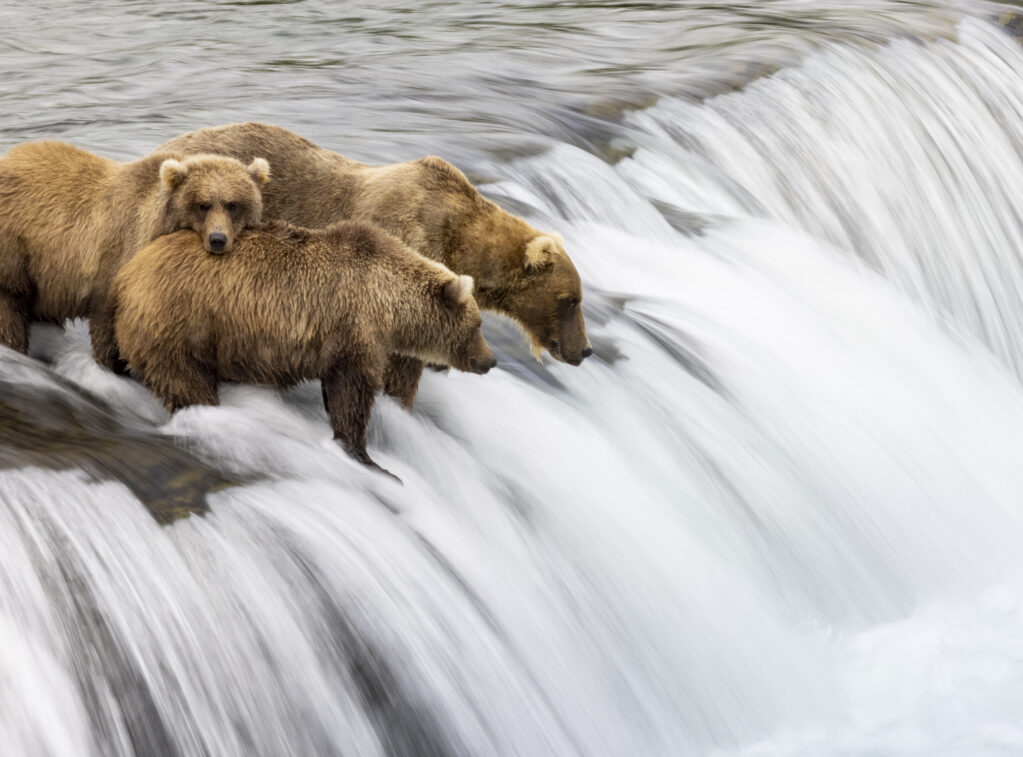 3L6A4315-Edit-2-3 3l6a4315 Edit 2 3