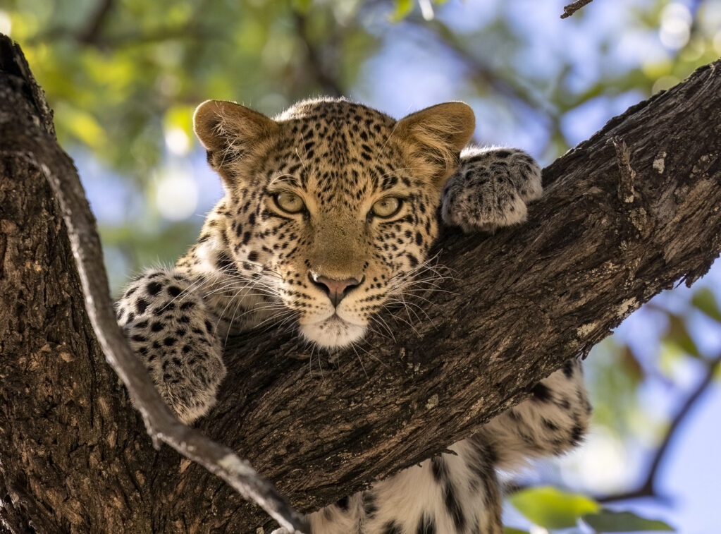 _53A5707-Edit-7 53a5707 Edit 7