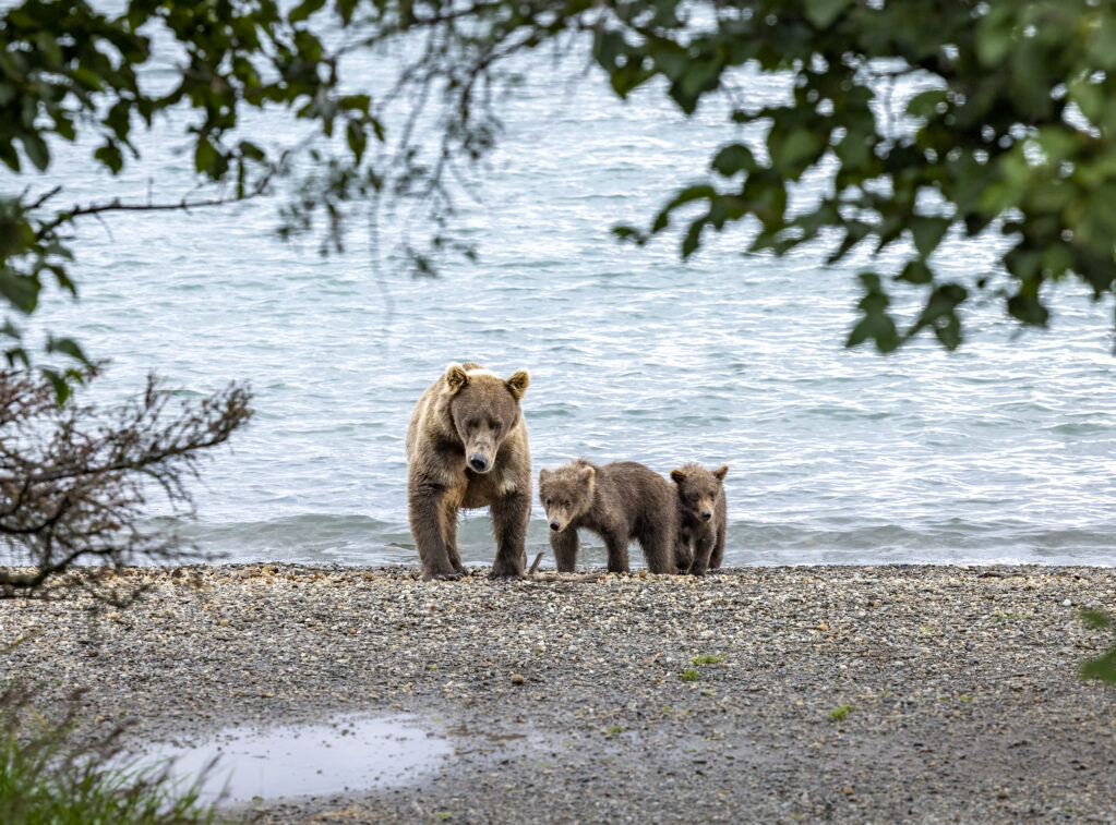 _53A9640-Edit-8 53a9640 Edit 8