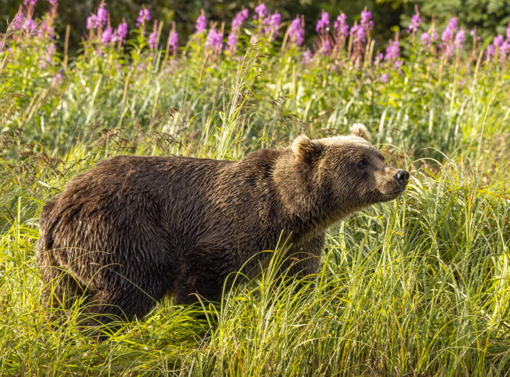 _53A9951-Edit-8 _53A9951-Edit-8