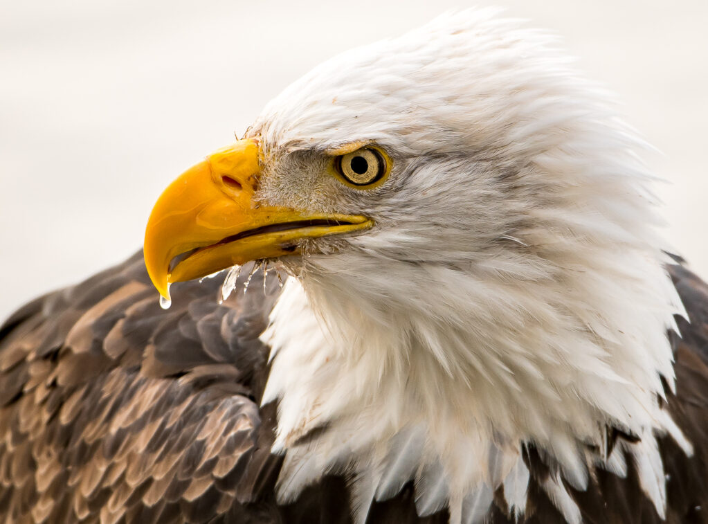 DSC_1325-2 Dsc 1325 2