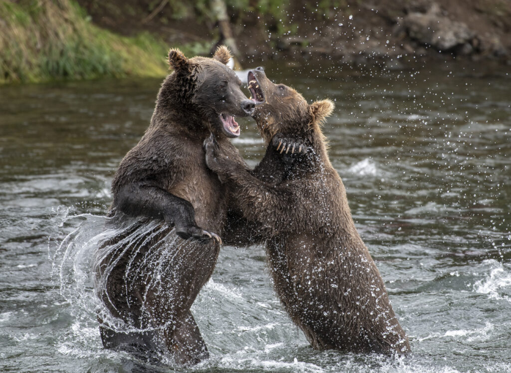 Water Fight