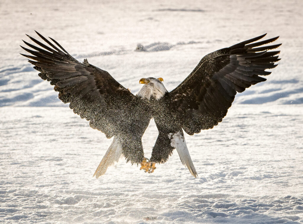 DSC_1758-3 Dsc 1758 3