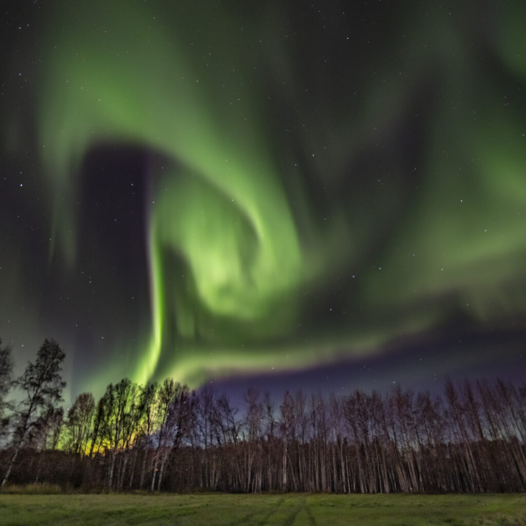 Creamer's Field Aurora