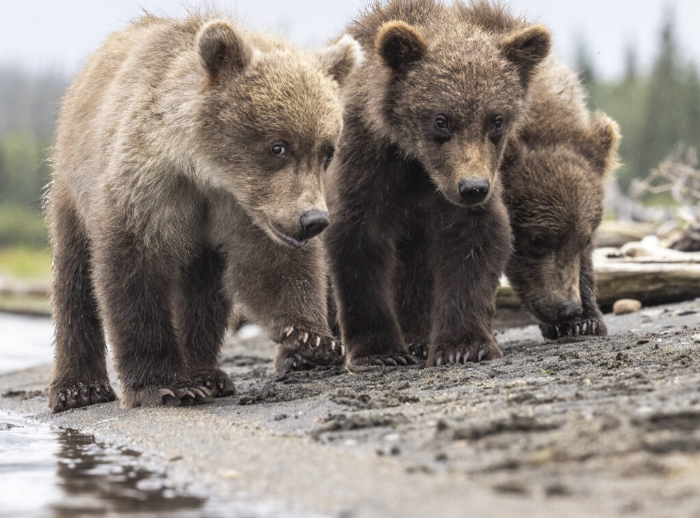 _53A9088-Edit-Edit-9 53a9088 Edit Edit 9