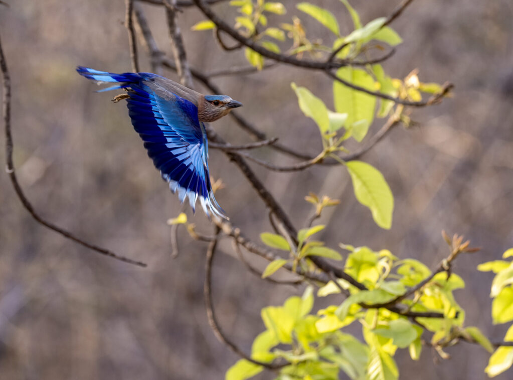 _53A8555-Edit-Edit-7 53a8555 Edit Edit 7