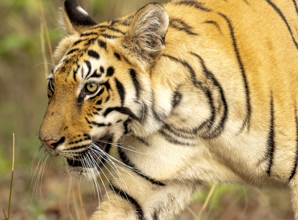 _53A9080-Edit-6 53a9080 Edit 6