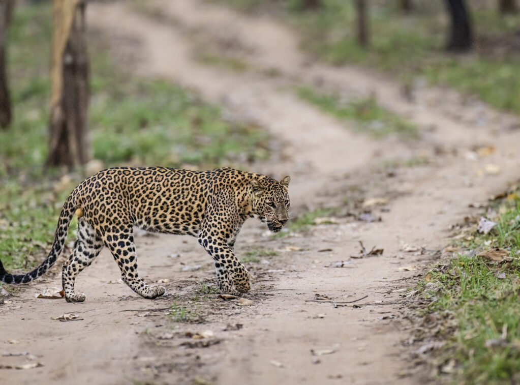 _53A9951-Edit-Edit-5 53a9951 Edit Edit 5