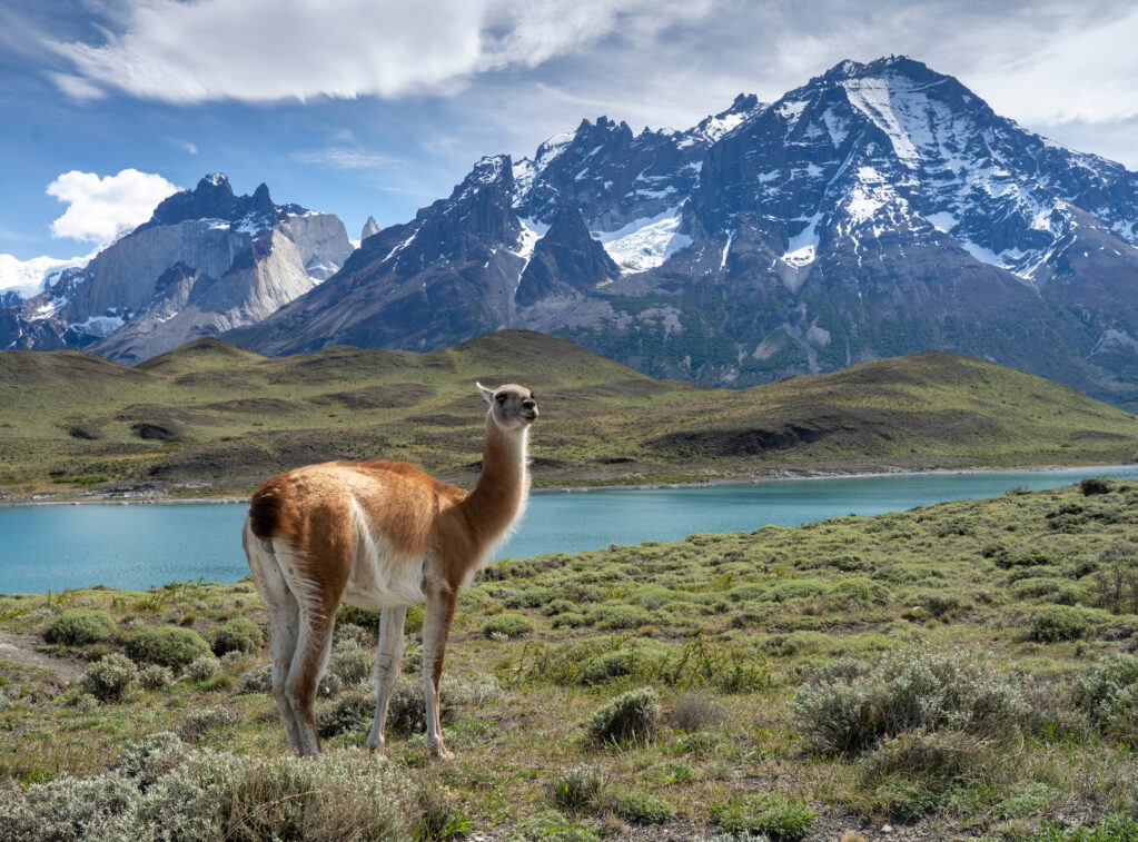 DSC02091-2 DSC02091-2